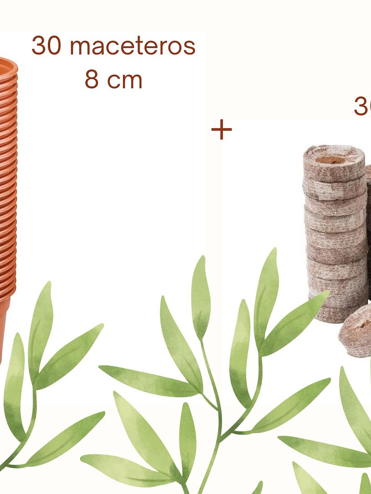 SET de 30 Maceteros 8cm y 30 germinadores 1