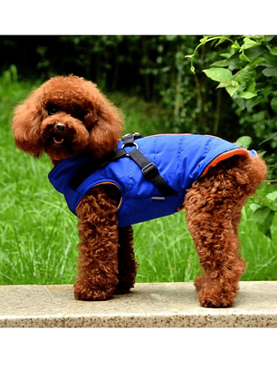 Chaqueta con arnés perro pequeño AZUL Talla L