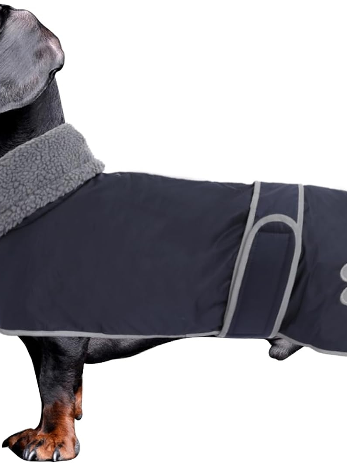 Chaqueta tipo capa perro salchicha AZUL Talla S 1