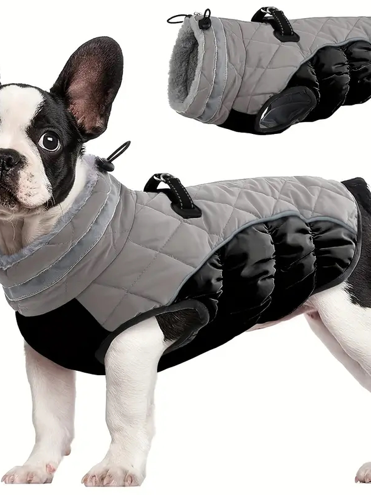 Chaqueta perro MINI Talla S color NEGRO y GRIS 3