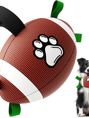 Pelota interactiva para perro incluye bombín BEISBOL