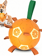Pelota interactiva para perro incluye bombín NARANJA - Miniatura 3