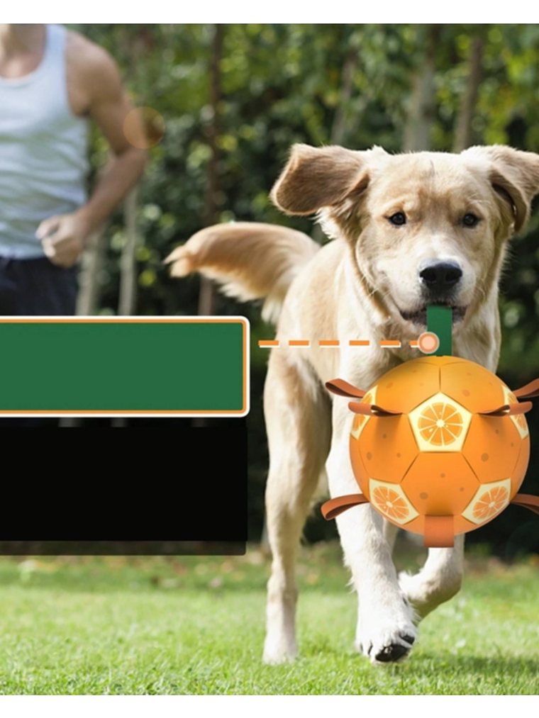 Pelota interactiva para perro incluye bombín NARANJA 1