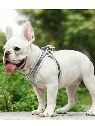 Arnés antitirones transpirable perro pequeño Talla S GRIS