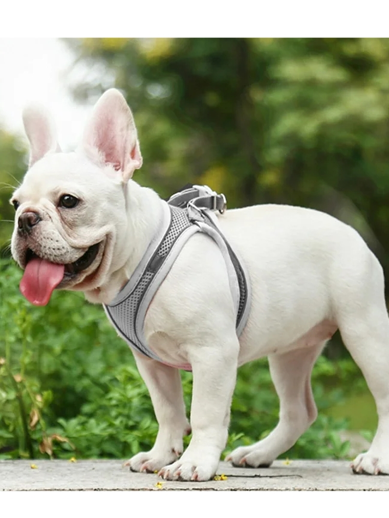Arnés antitirones transpirable perro pequeño Talla S GRIS 1
