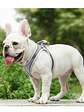 Arnés antitirones transpirable perro pequeño Talla S GRIS - Miniatura 1