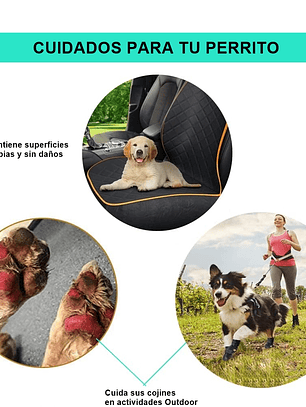 Zapatillas de trecking para perro, talla 5