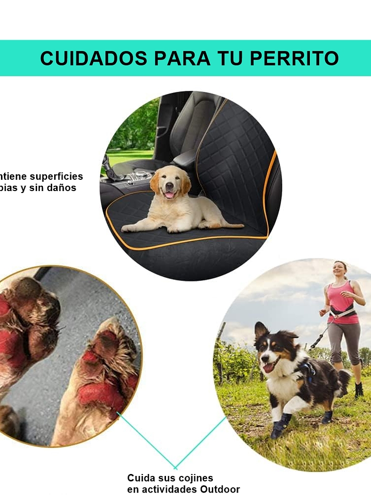 Zapatillas de trecking para perro, talla 5 2