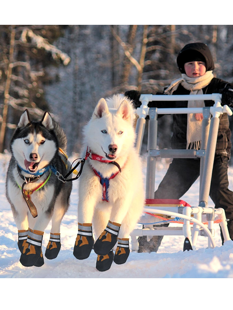 Zapatos de nieve para perro talla L 1