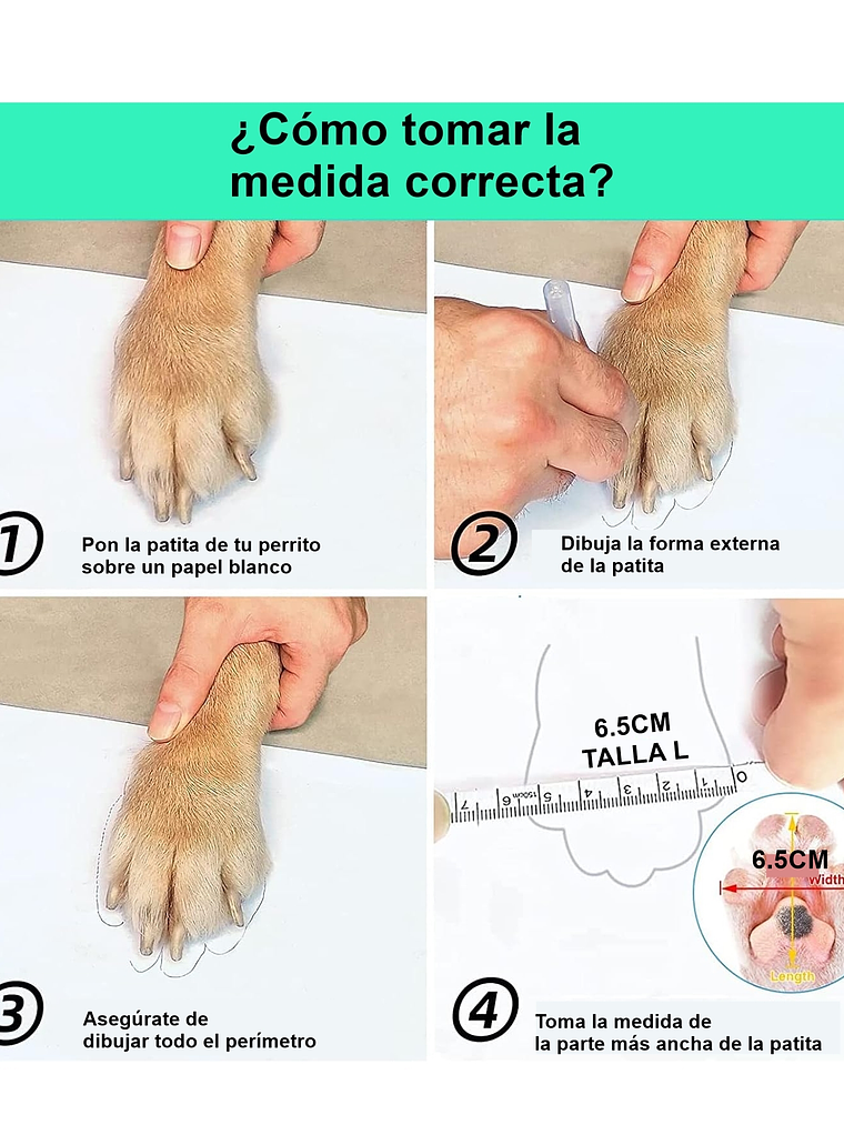 Zapatos de nieve para perro talla L 5