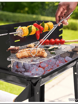 Parrilla para carbón con ruedas y grill