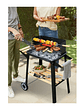 Parrilla para carbón con ruedas y grill - Miniatura 1