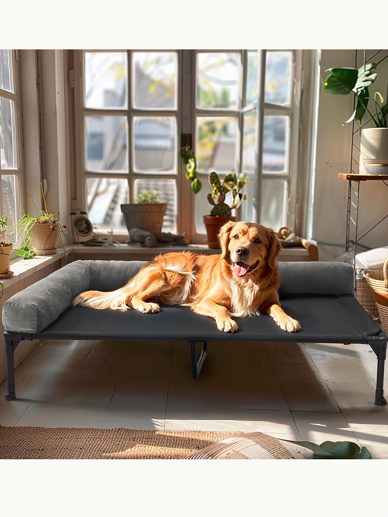 Cama elevada para mascota con respaldo acolchado TALLA XL 1