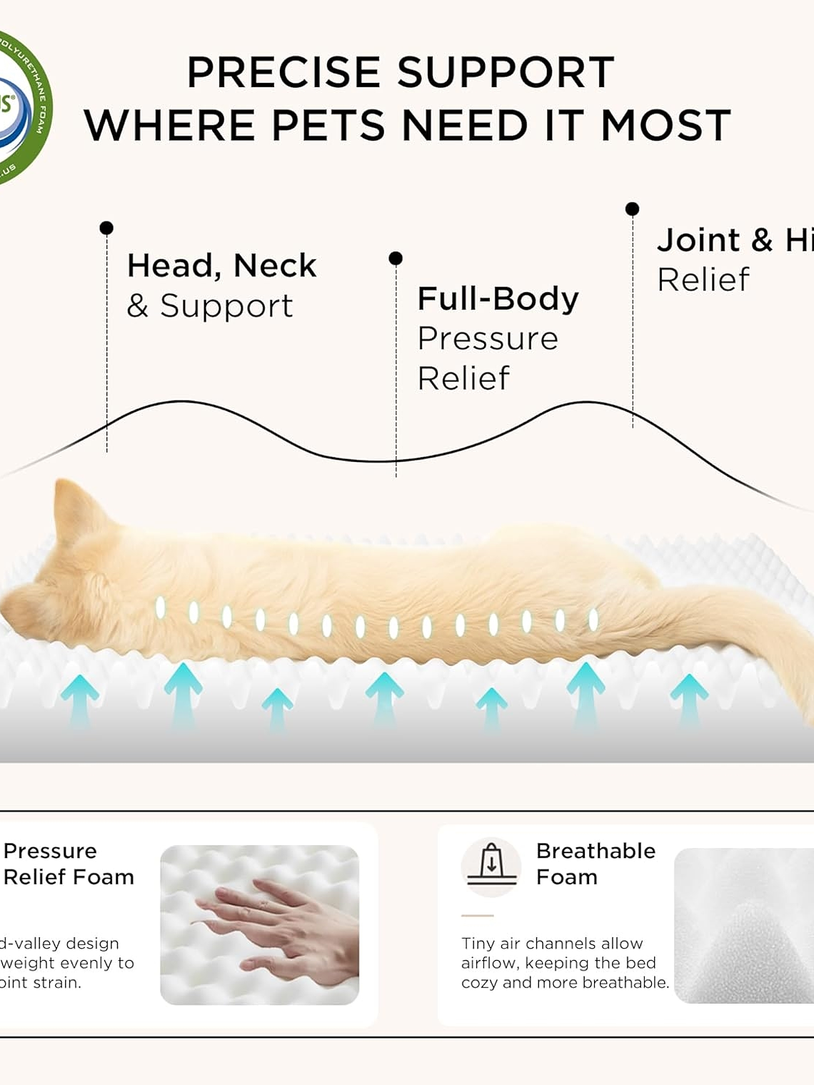 Cama ortopédica para perro XL 104x74x9cm 2