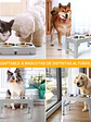 Comedero mascota elevado  4 alturas 1.2lts  - Miniatura 11