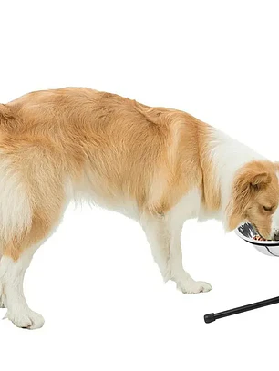 Plato acero inoxidable elevado para agua o alimento mascota en atril 2 litros