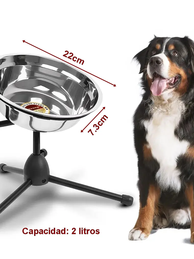Plato acero inoxidable elevado para agua o alimento mascota en atril 2 litros 4