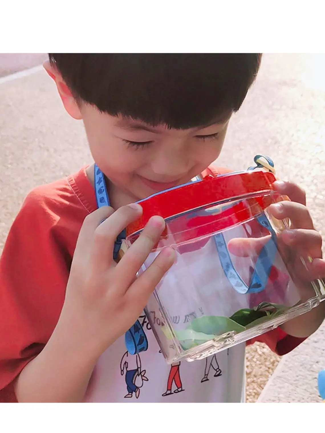 Juego de Vaso Lupa para ver Insectos 2