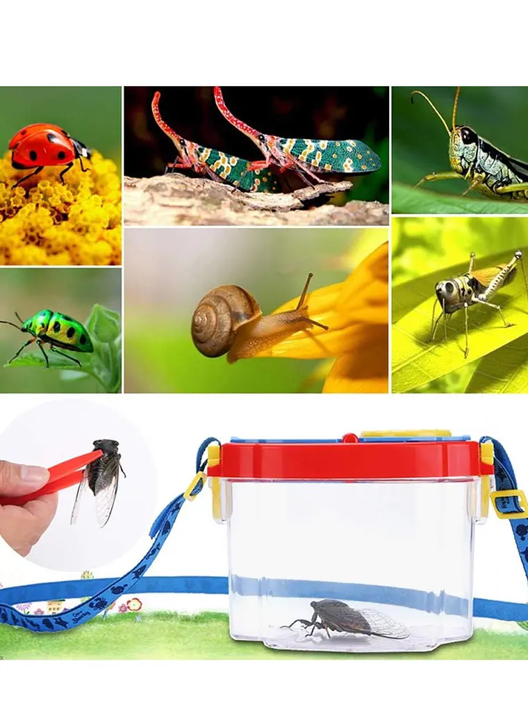 Juego de Vaso Lupa para ver Insectos 6