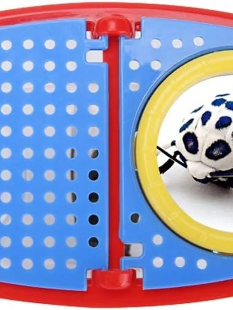 Juego de Vaso Lupa para ver Insectos 9