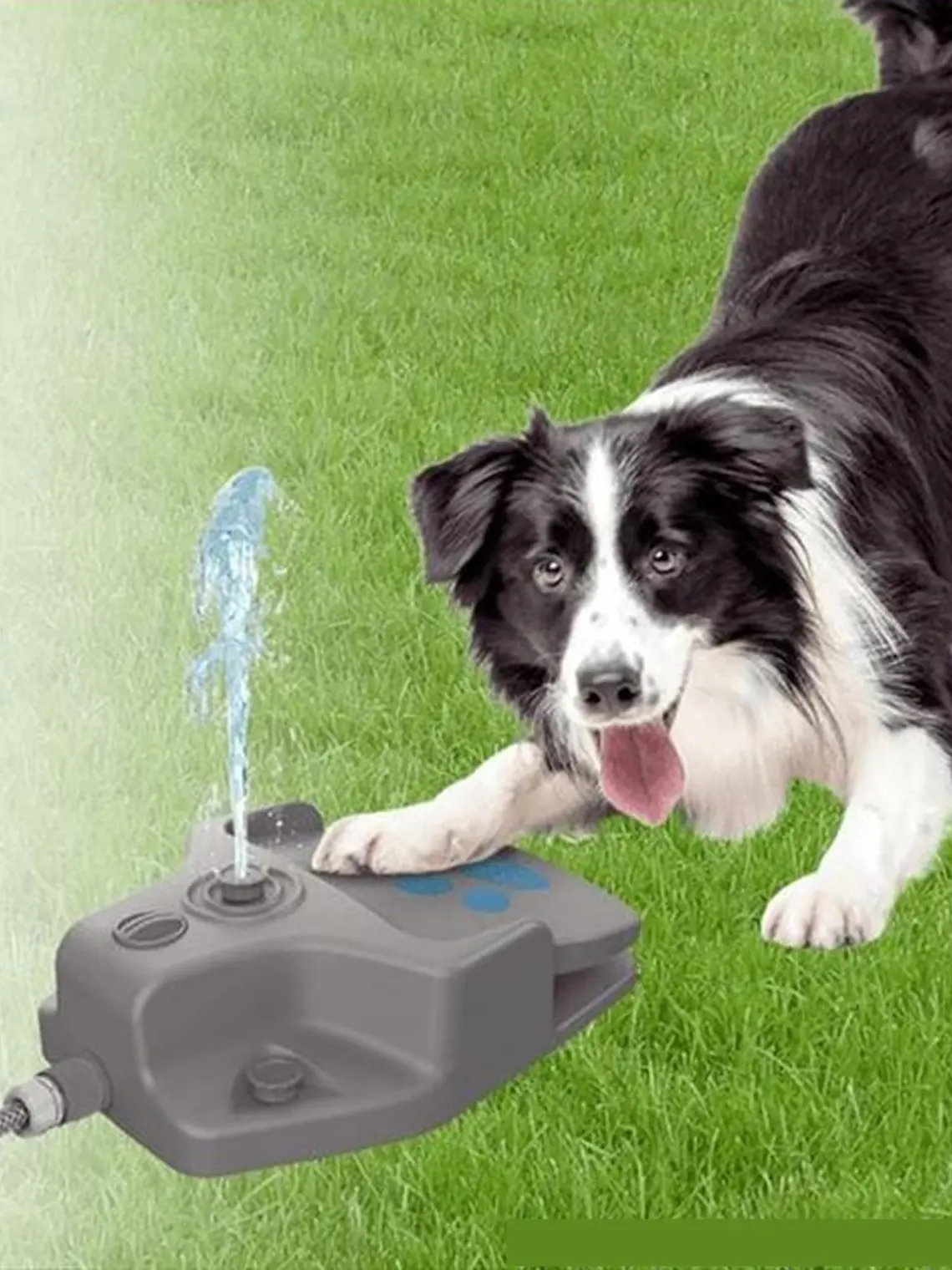 Juego de agua para perro se conecta a manguera 1