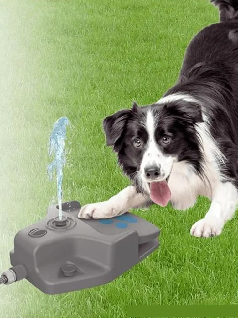 Juego de agua para perro se conecta a manguera 1