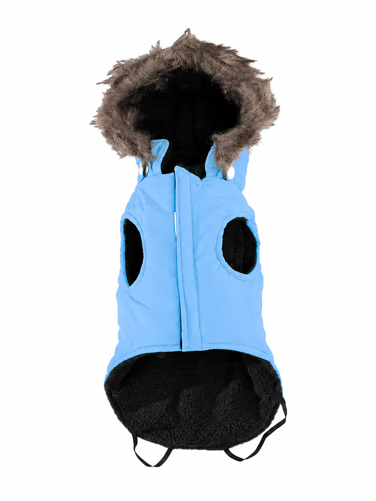 Chaqueta con gorro desmontable y bolsillo trasero para Perrito mini o pequeño 5