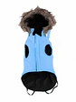 Chaqueta con gorro desmontable y bolsillo trasero para Perrito mini o pequeño - Miniatura 5