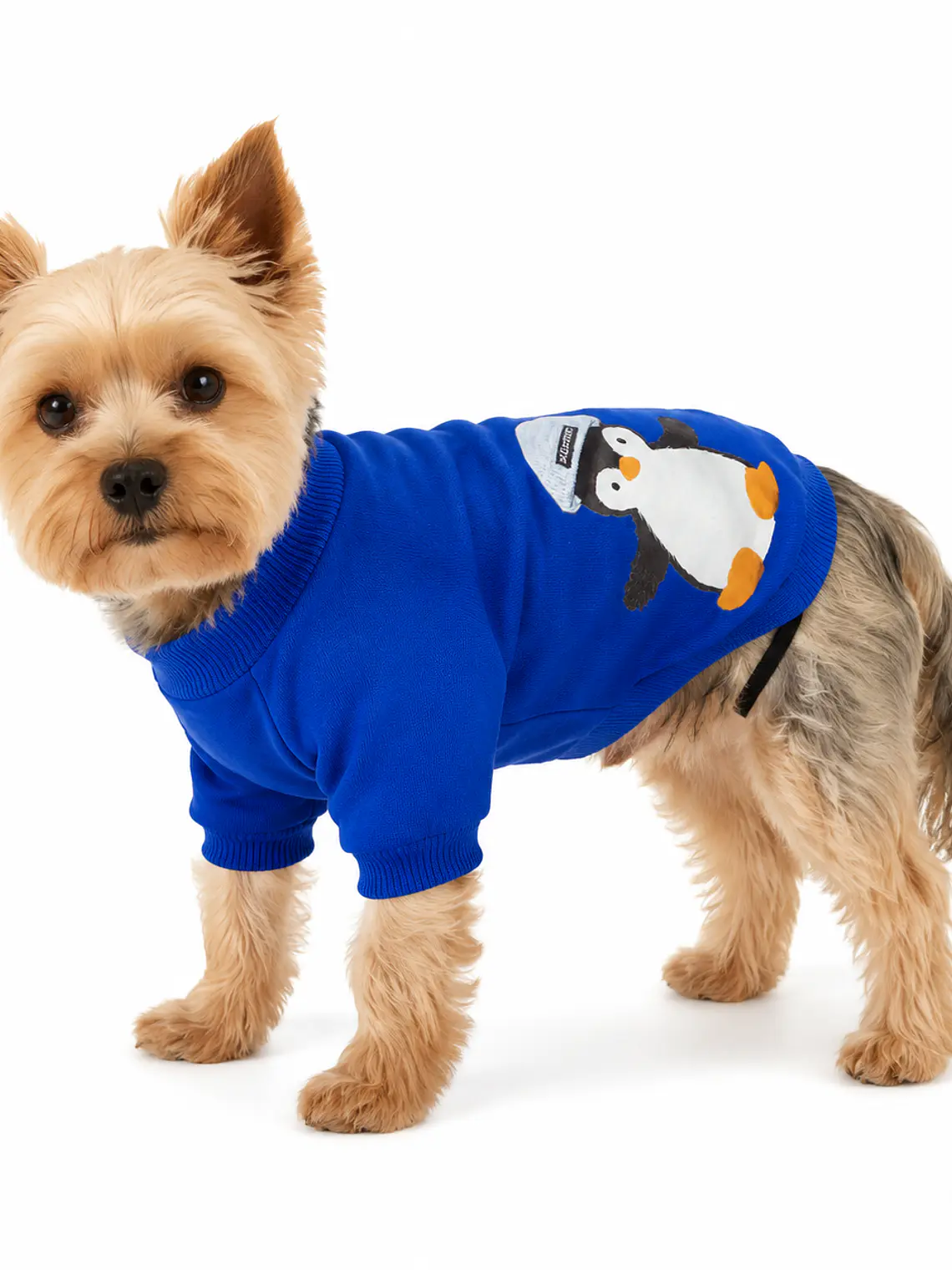 Buzo enterito para perro TALLA M 1