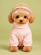 Capita Impermeable para perro pequeño, Talla M - Miniatura 1