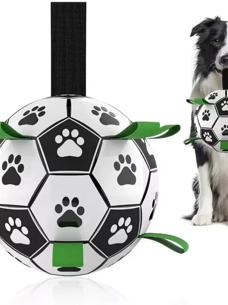 Pelota interactiva para perro incluye bombín-colores 4