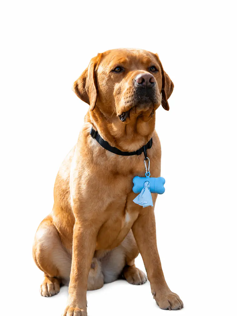 Dispensador de bolsas para perro-COLORES 10