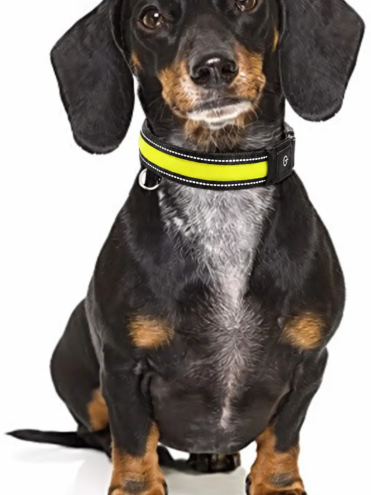Collar para perro de tela con luz LED y carga USB- TALLAS 1