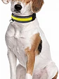 Collar para perro de tela con luz LED y carga USB- TALLAS - Miniatura 3