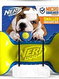 Juguete NERF con silbato interior para perro pequeño o mediano - Alternativas - Miniatura 5