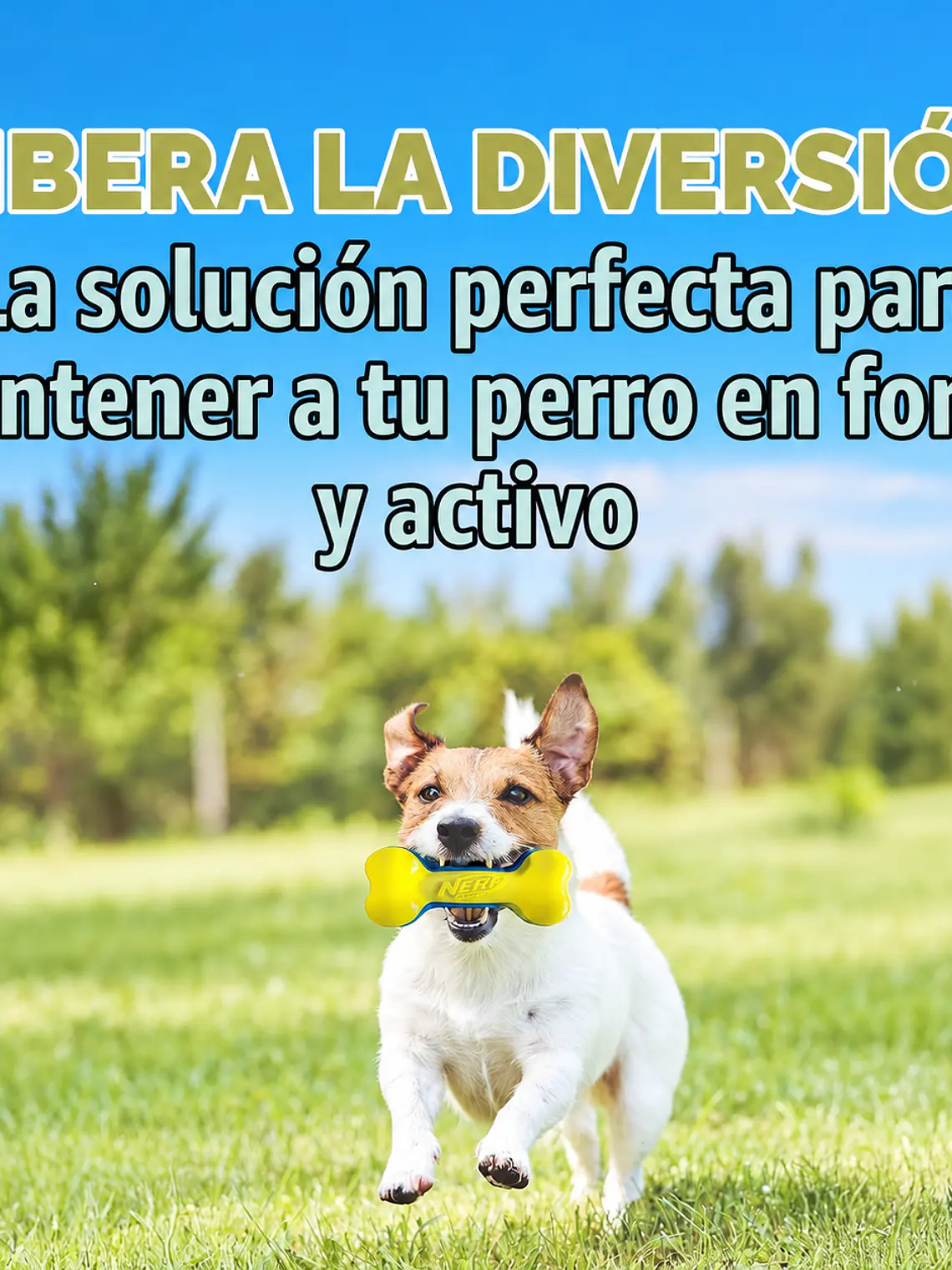 Juguete NERF con silbato interior para perro pequeño o mediano - Alternativas 6
