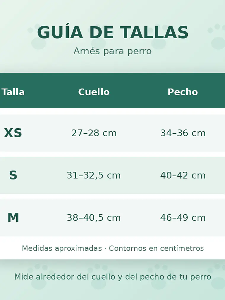 Arnés simple transpirable para perro pequeño 5