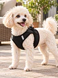 Arnés simple transpirable para perro pequeño - Miniatura 8