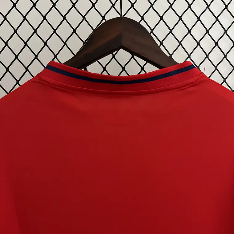 Espanha Home 2010 9