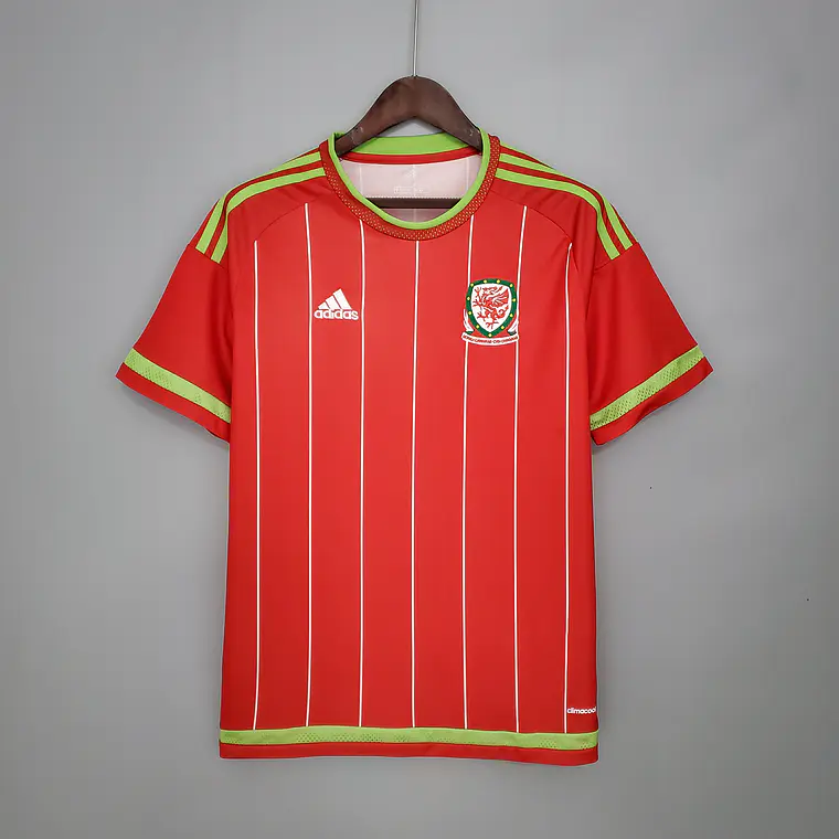 País de Gales Home Euro 2016 1