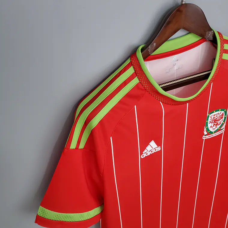 País de Gales Home Euro 2016 4