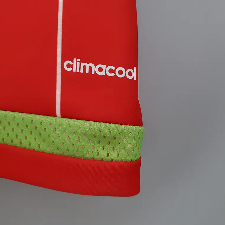 País de Gales Home Euro 2016 8