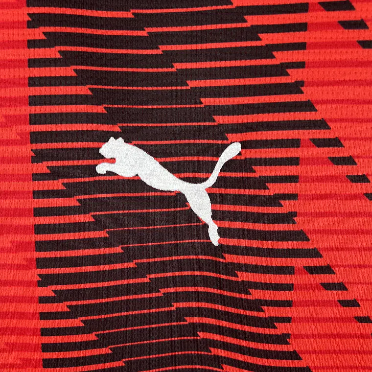 Milan Home 23/24 10