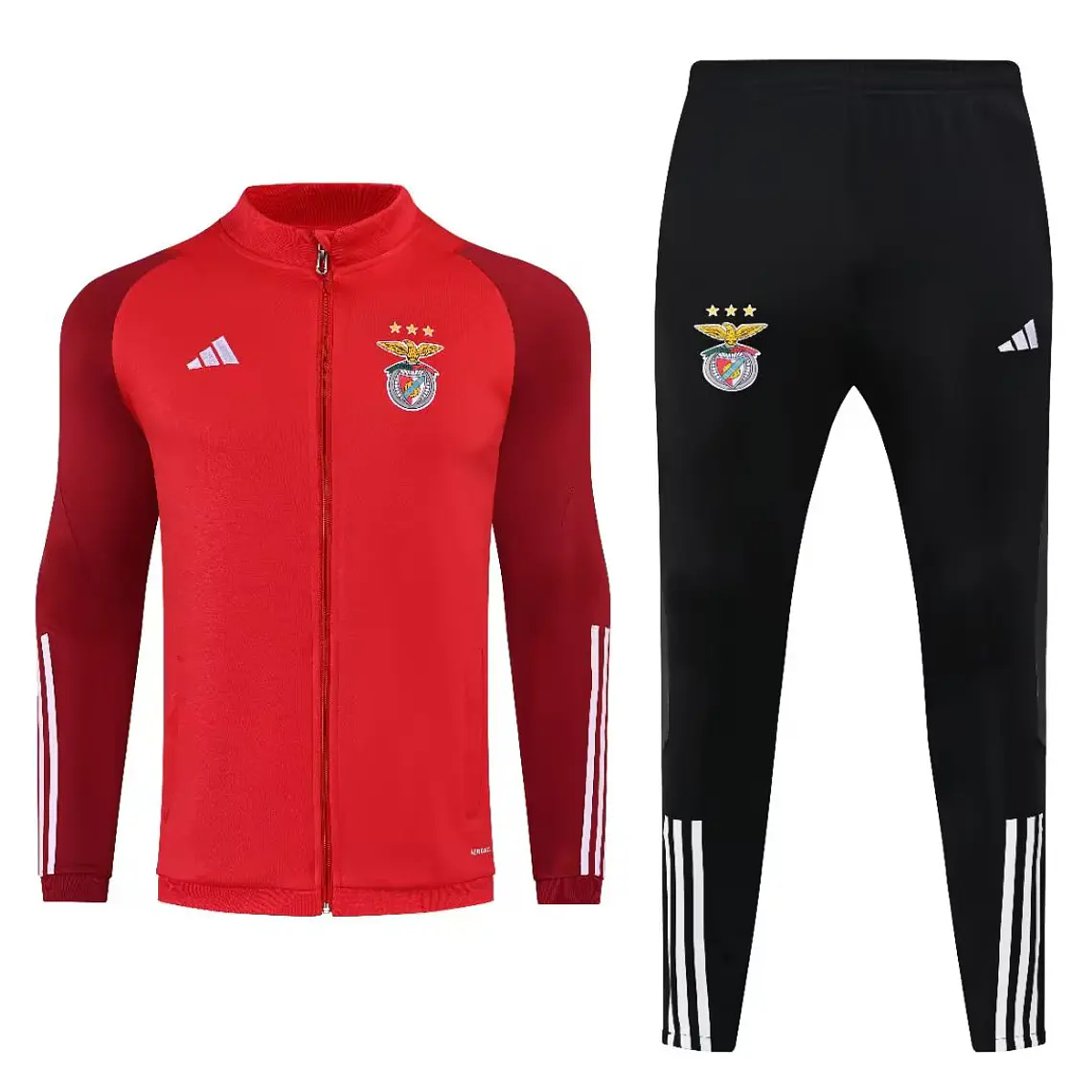 Benfica Fato Treino Casaco 1