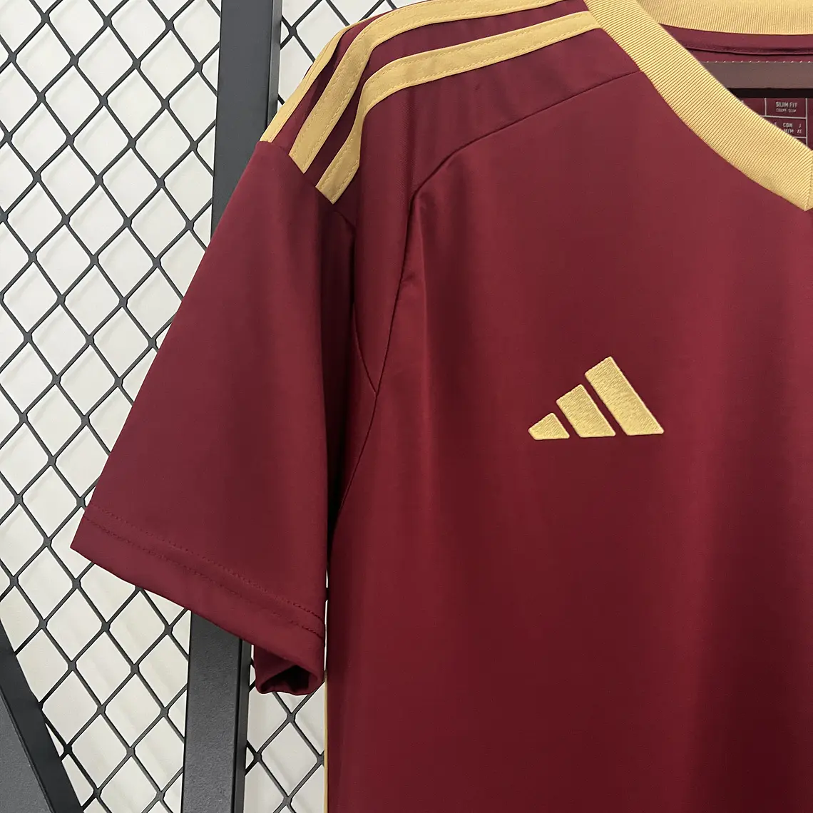 Venezuela Home 2024 5