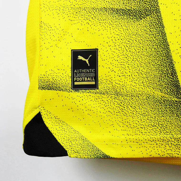 Dortmund Home 23/24 8