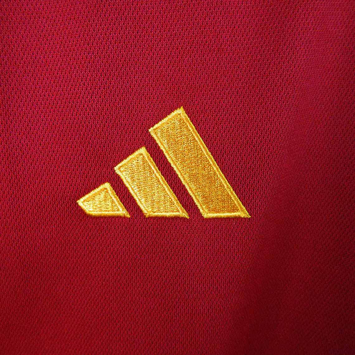 Roma Home 23/24 5