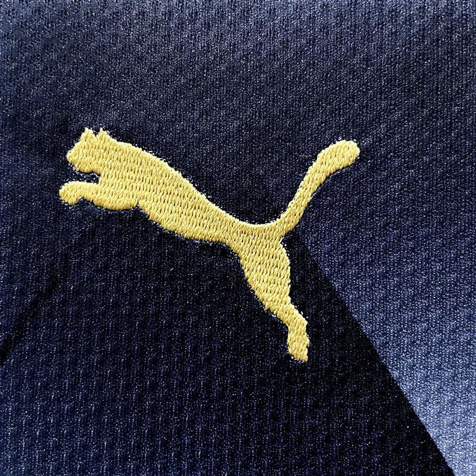 Leicester City Away 15/16 5