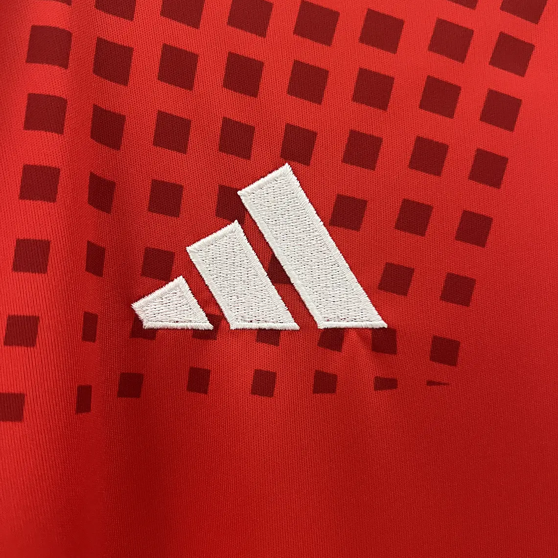 Chile Home 2024 9
