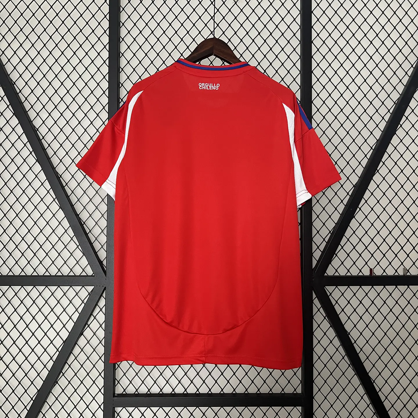 Chile Home 2024 4